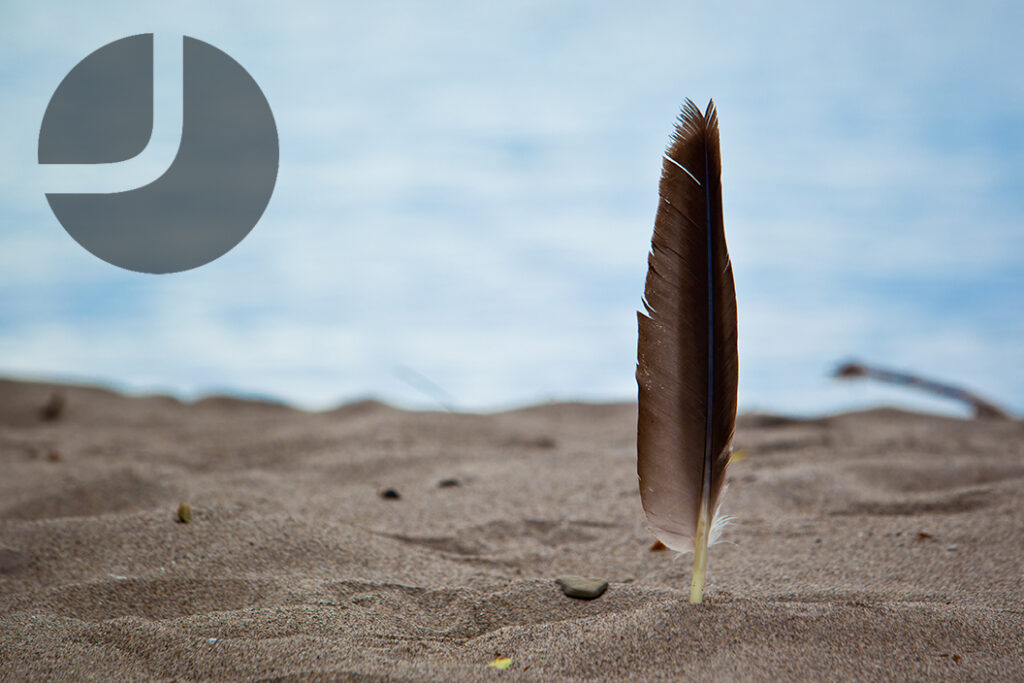 Feathervane | Oakville, Ontario, Canada