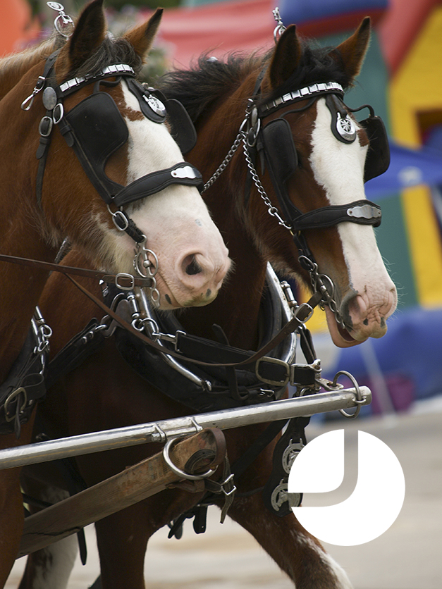 Farm To Harbour | Bronte, Ontario, Canada