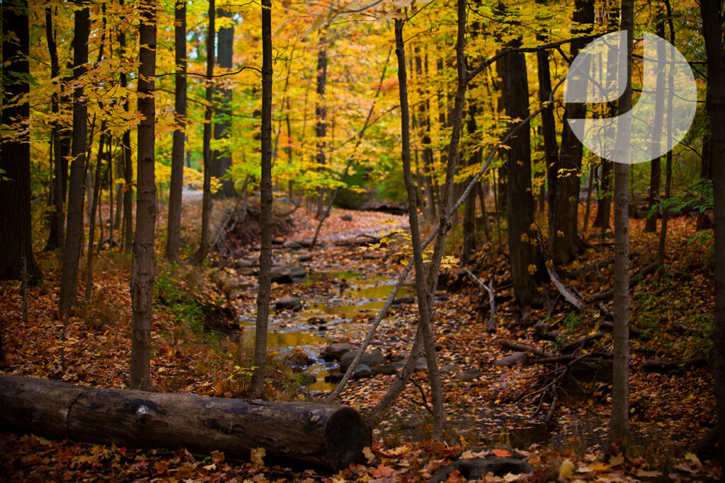 Wilmot Creek #2 | Oakville, Ontario, Canada