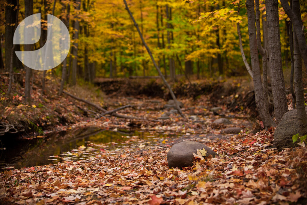 Wilmot Creek #1 | Oakville, Ontario, Canada